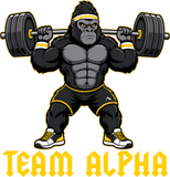 Team Alpha Hooded Sweatshirt