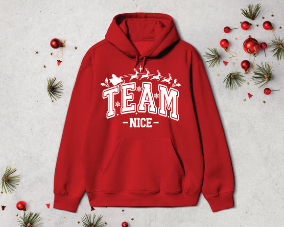 Team Nice Hoodie